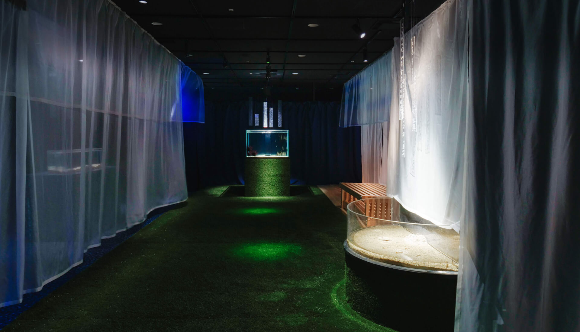（ぎゅな様）オーシャンシアター 海洋楽園 世界最大級の水族館「海遊館」とクリエイターの共創 特別展「海