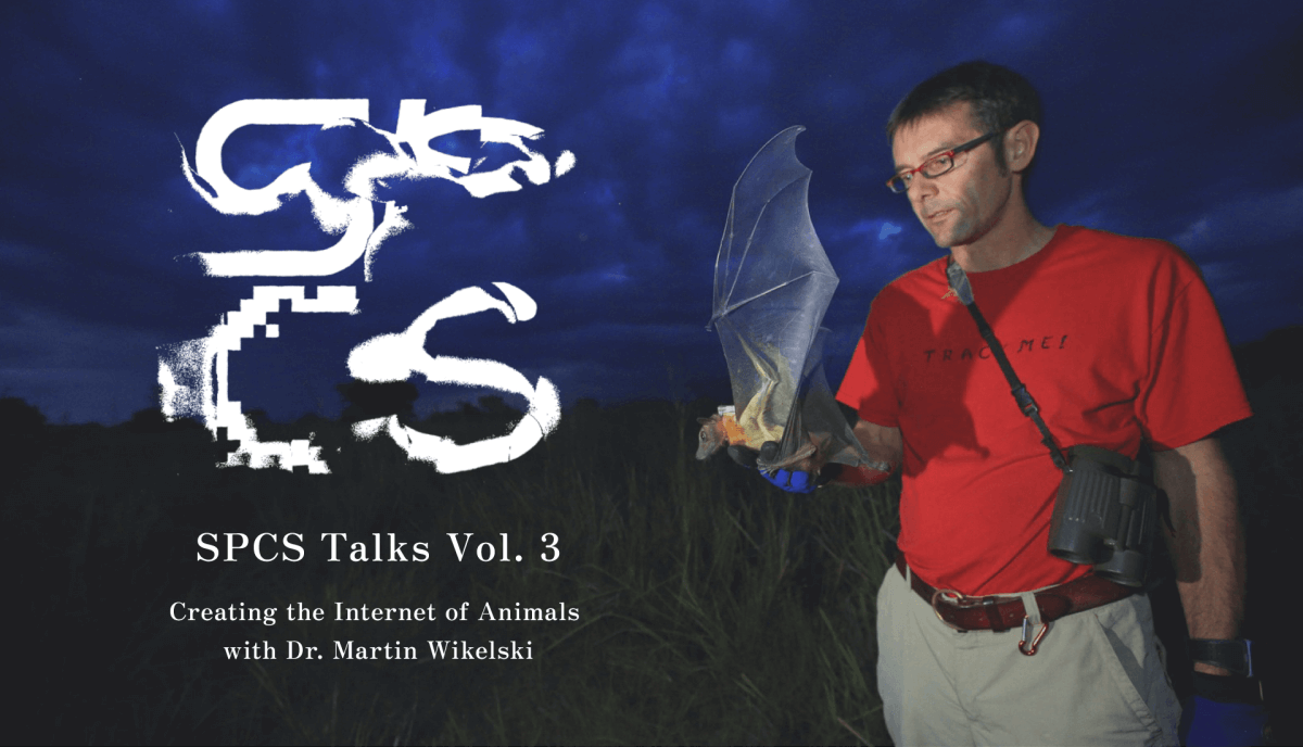 動物と共に…… adidas originals for atmos ZX 8000 