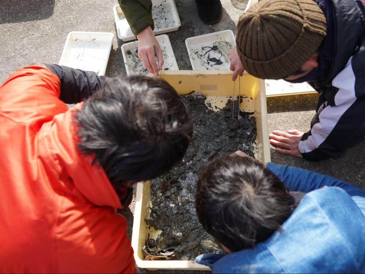 環境省 | 「豊かな海」の評価方法を探る 瀬戸内海における沿岸調査事業