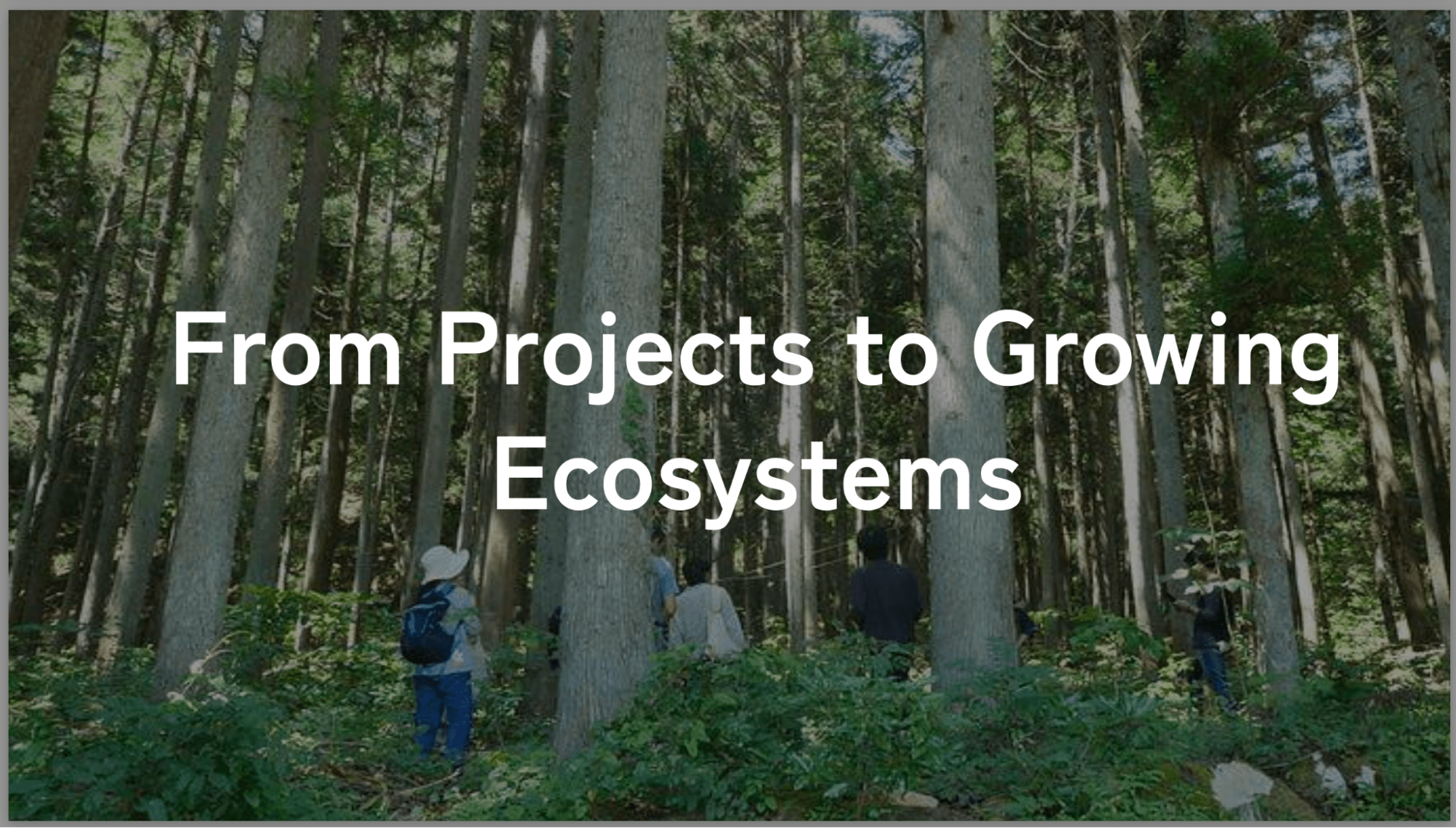 Ecosystems