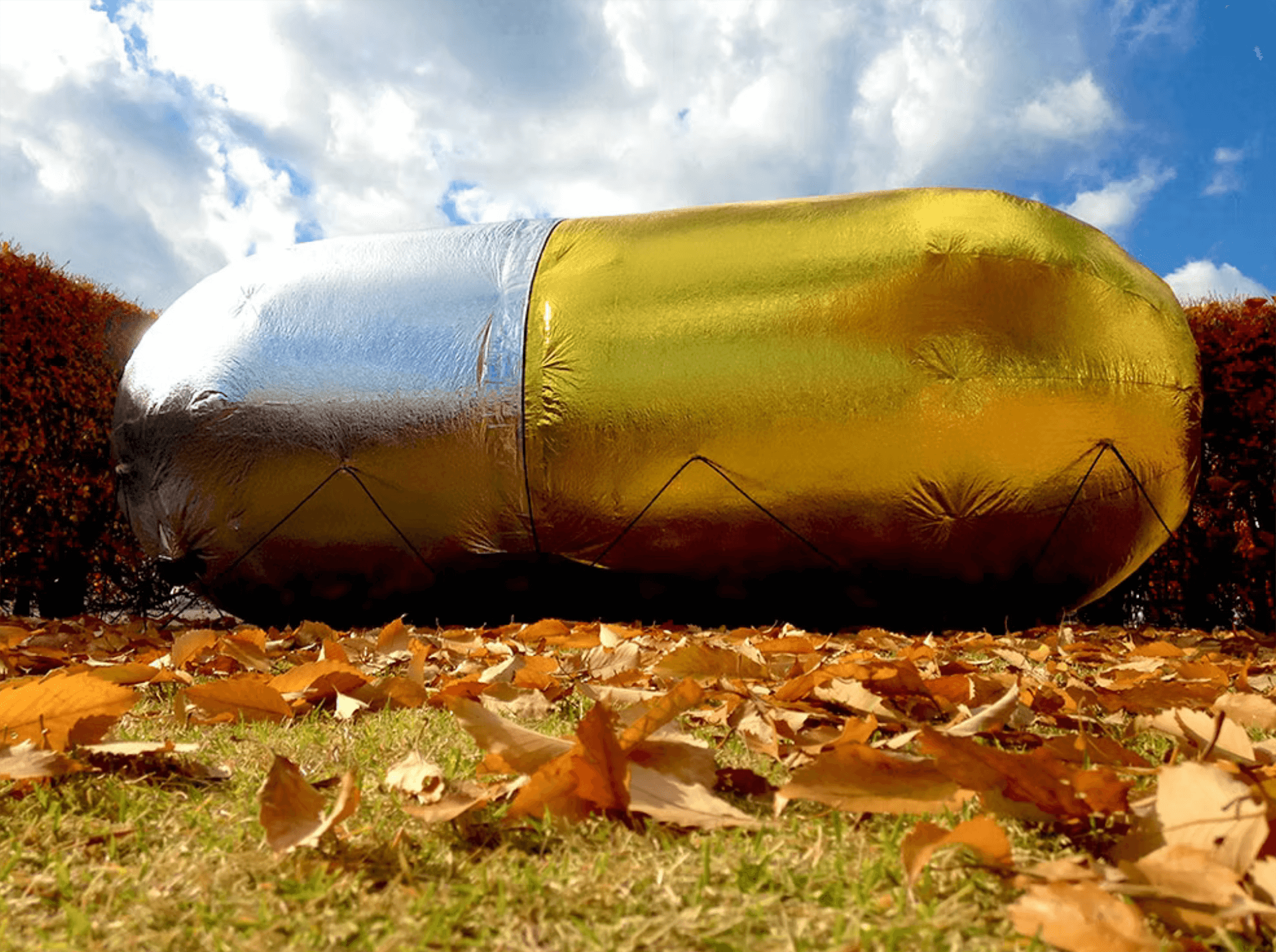 作品名：CAN CELL