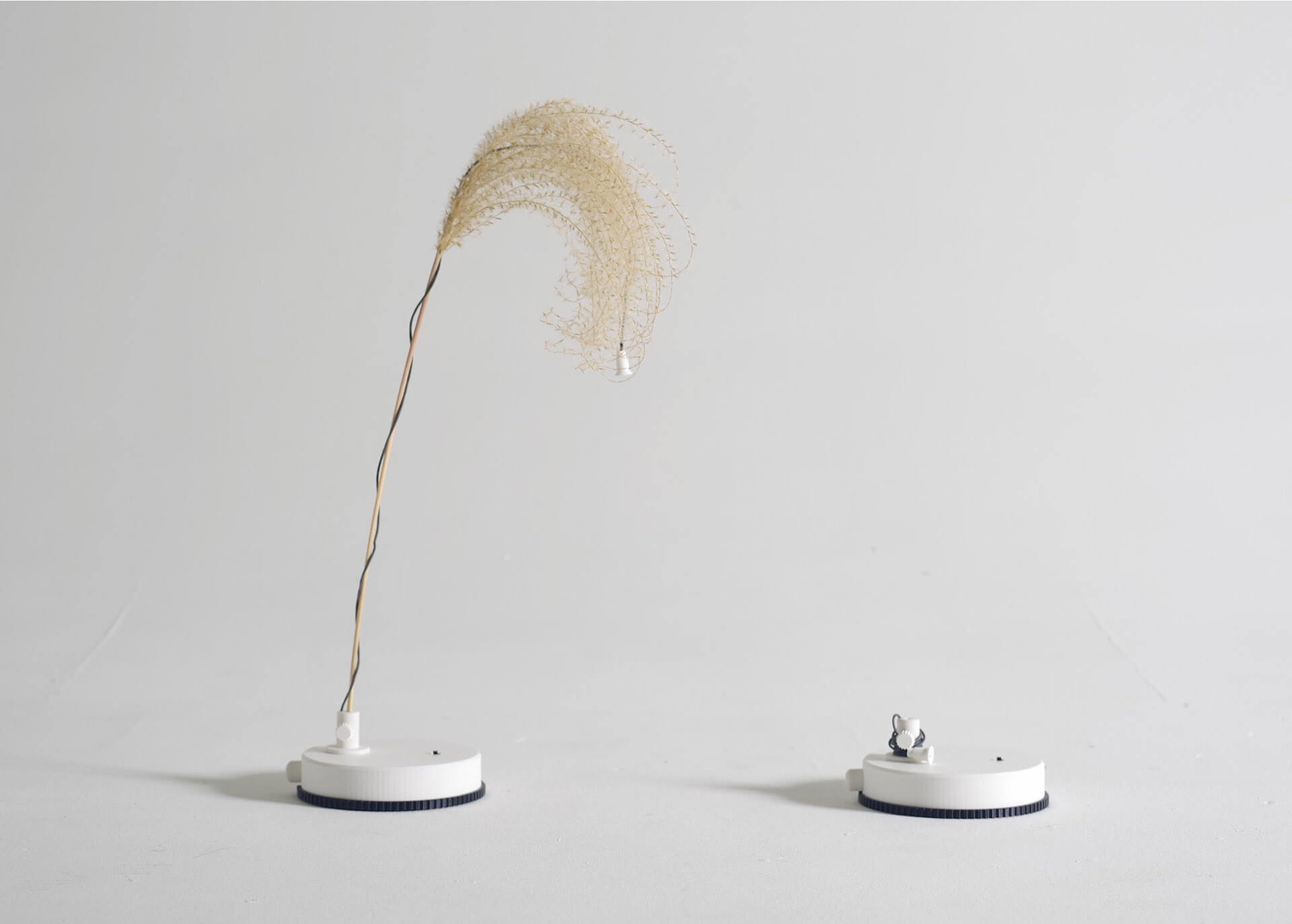 作品名：曲がりを摘む