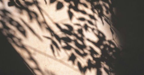 日陰から都市のやさしさをみる ミニワーク「日陰ハント」を楽しむための前説