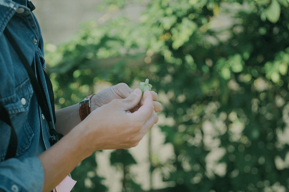 カルマニの活動イメージ画像