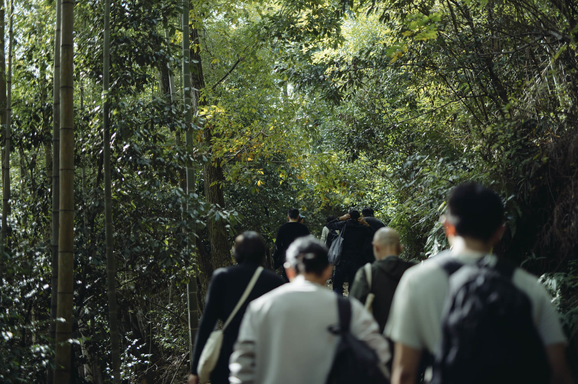 写真：天王山を登る様子