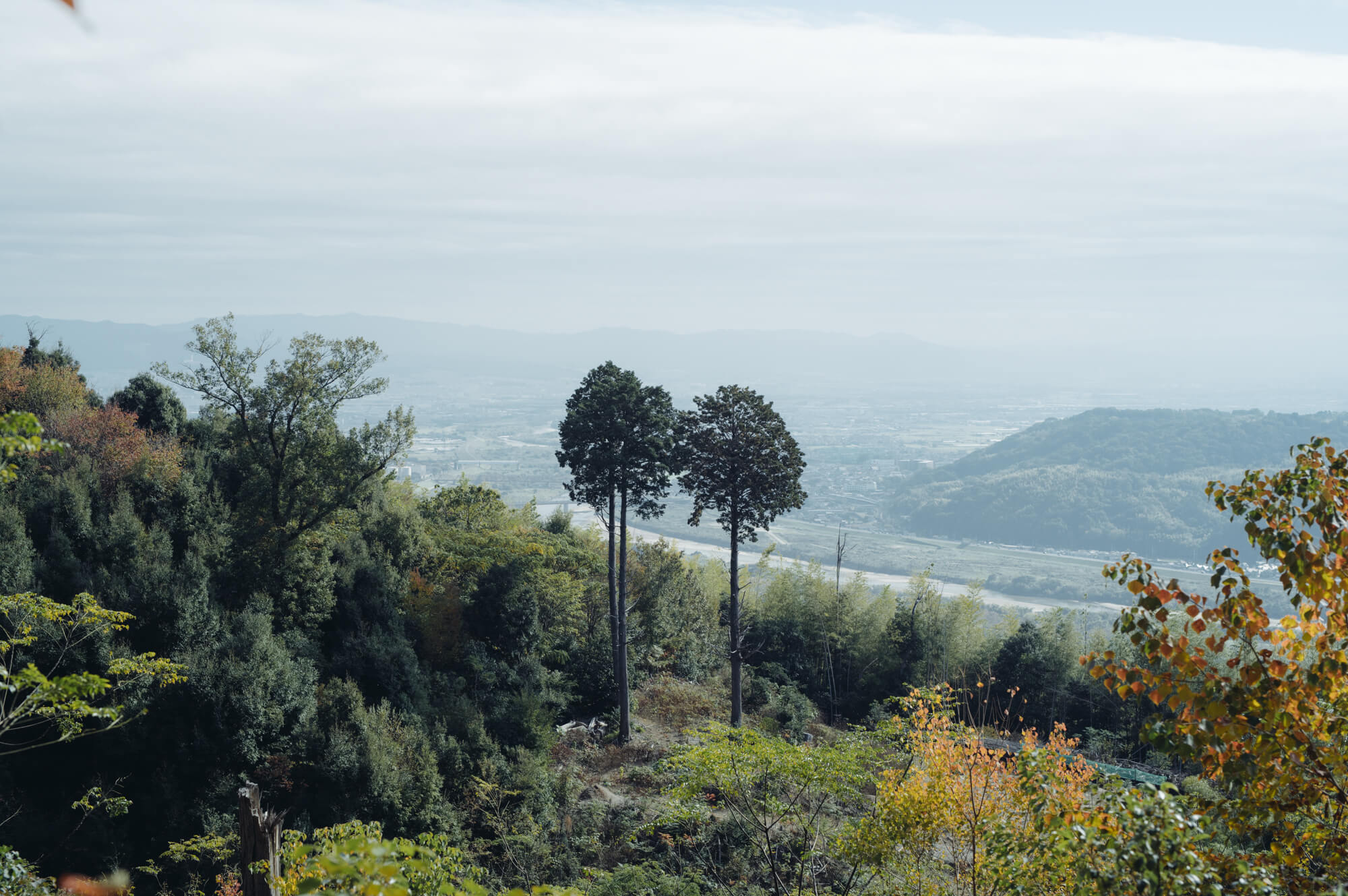 写真：天王山から見下ろした、三川合流ちてんの様子