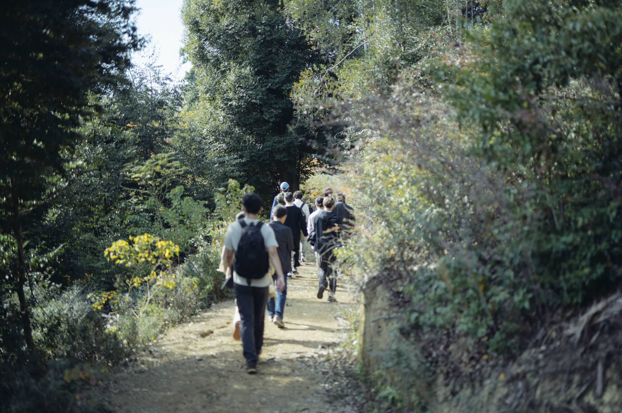 写真：天王山を歩く様子