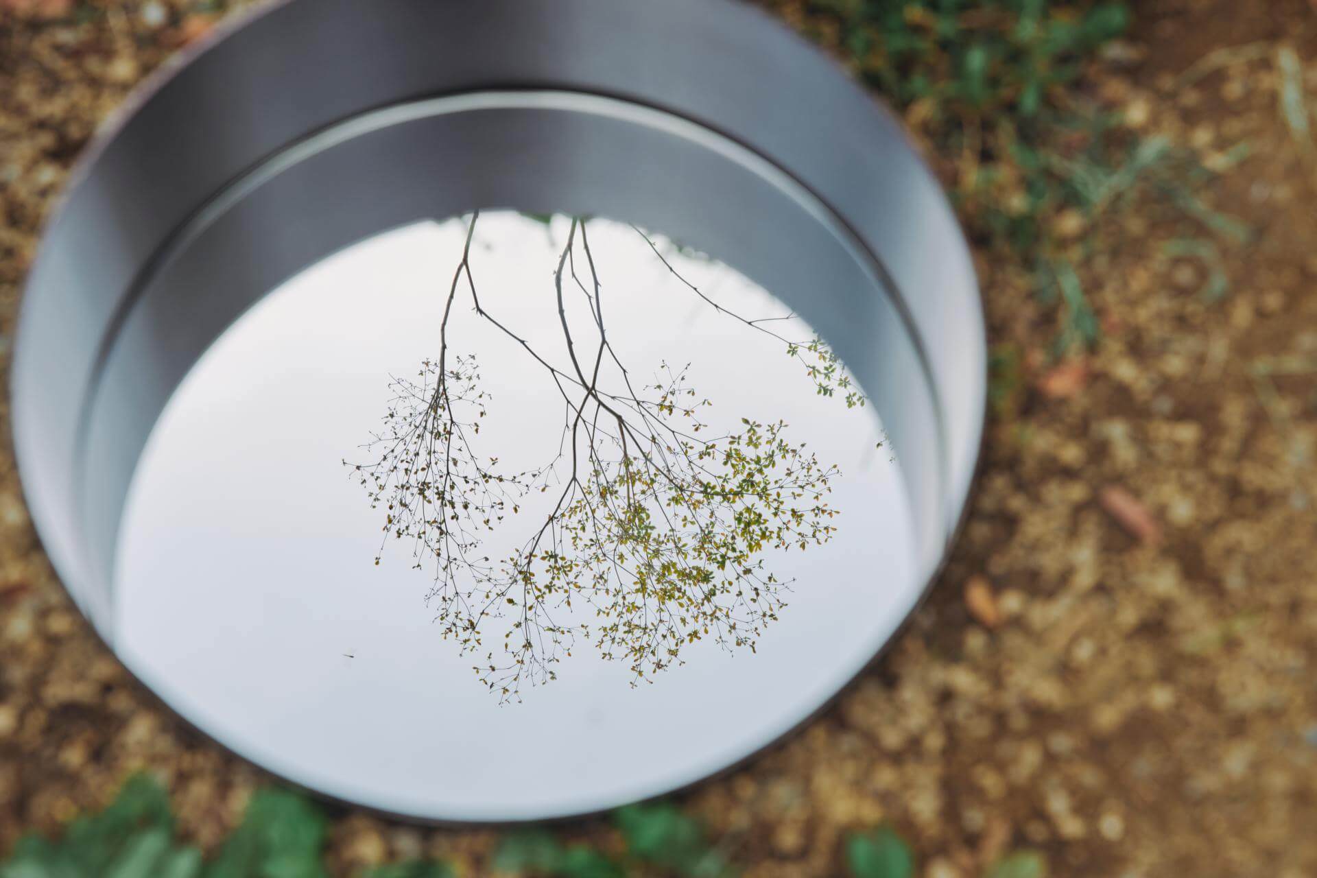 写真：静けさの森に置かれた作品