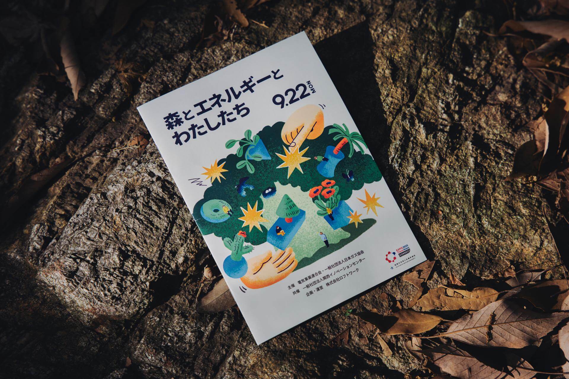 写真：当日配布されたリーフレット