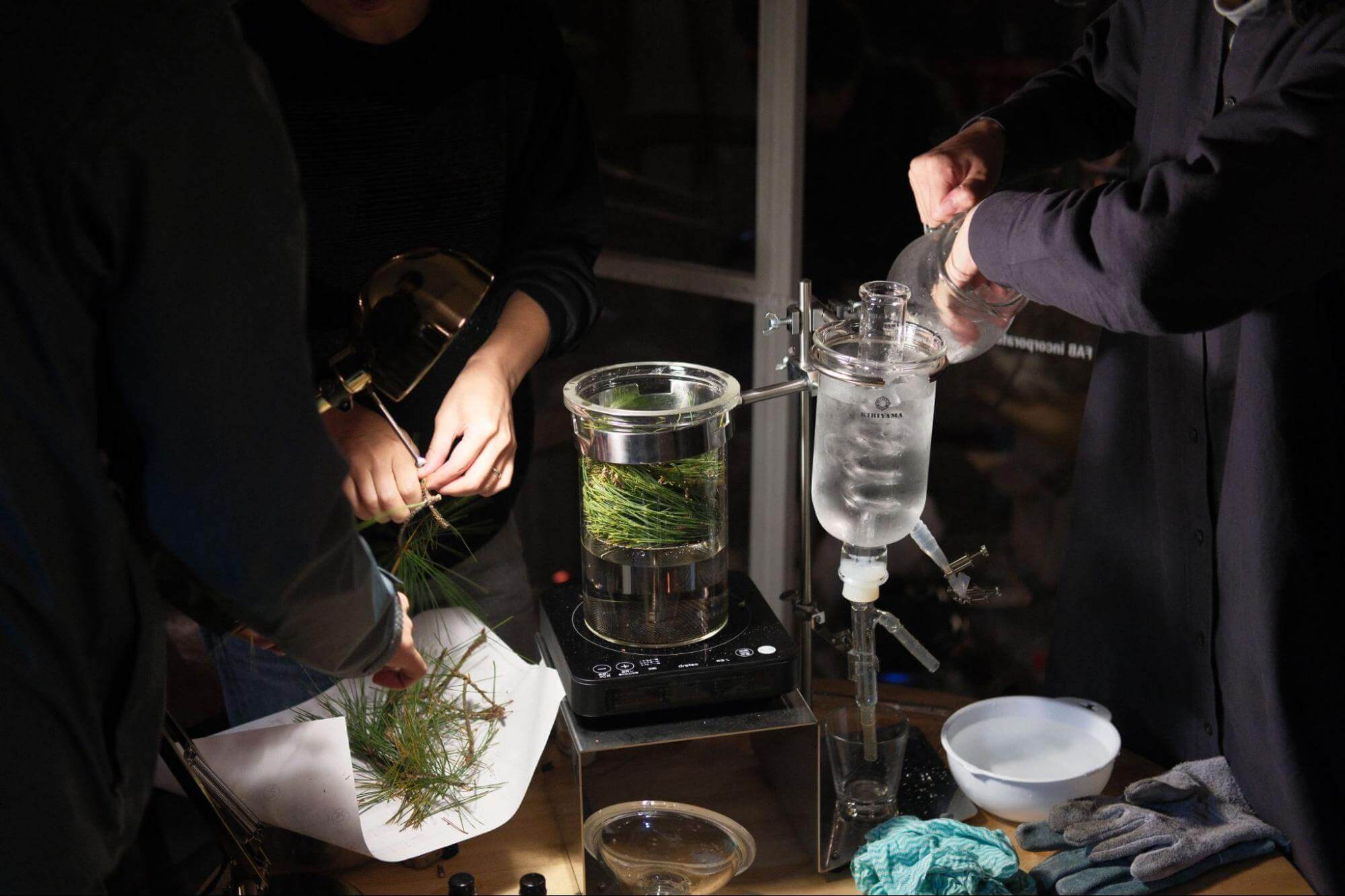 植物を上流している様子