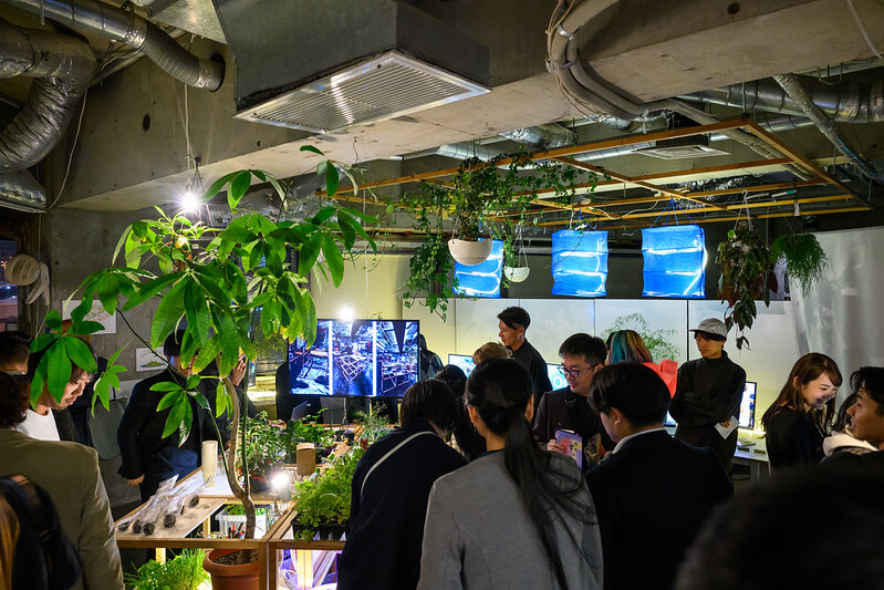 パーティー開場にアレンジされた緑で彩られた3FのLayoutオフィスで談笑する参加者