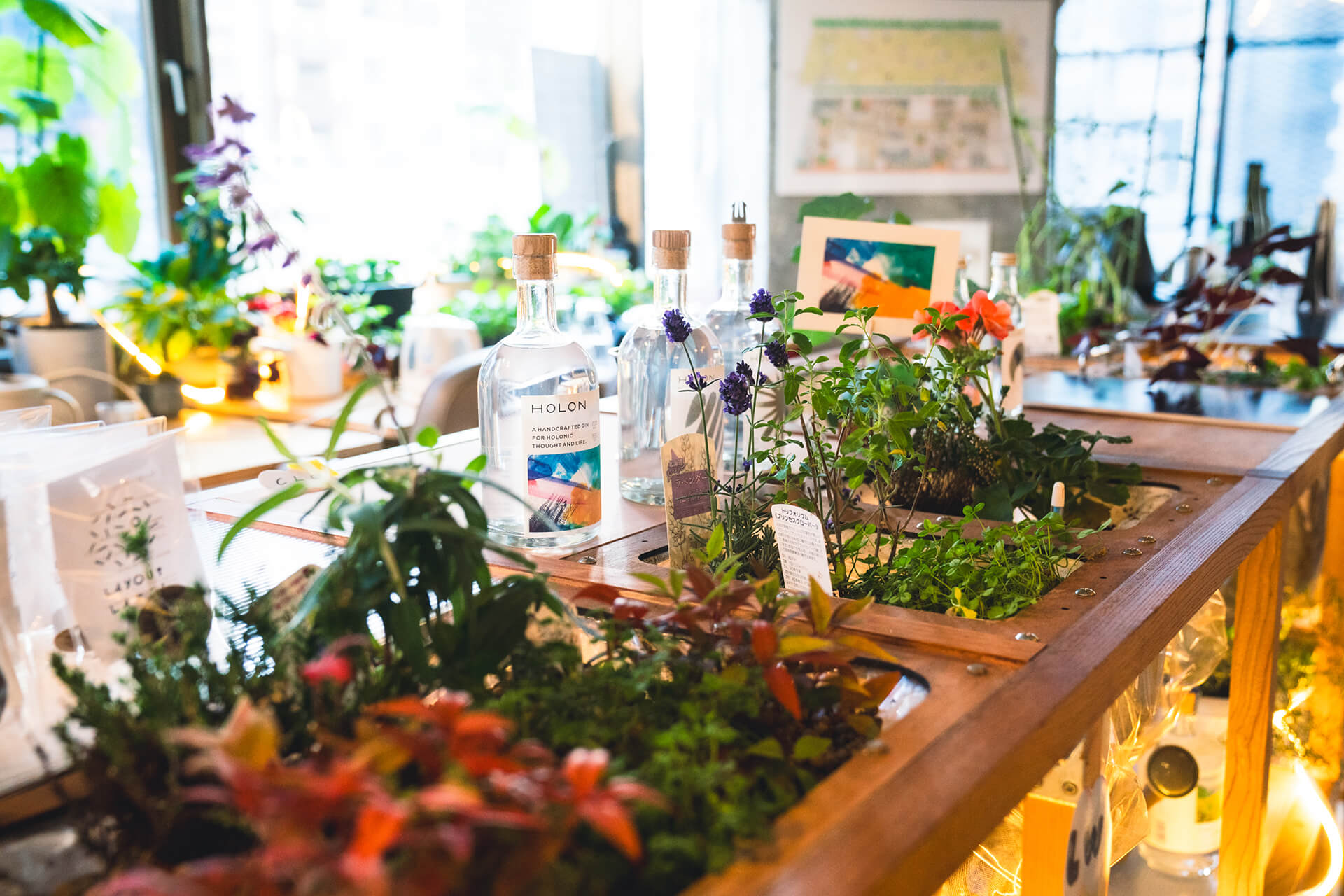 レイアウト展示写真