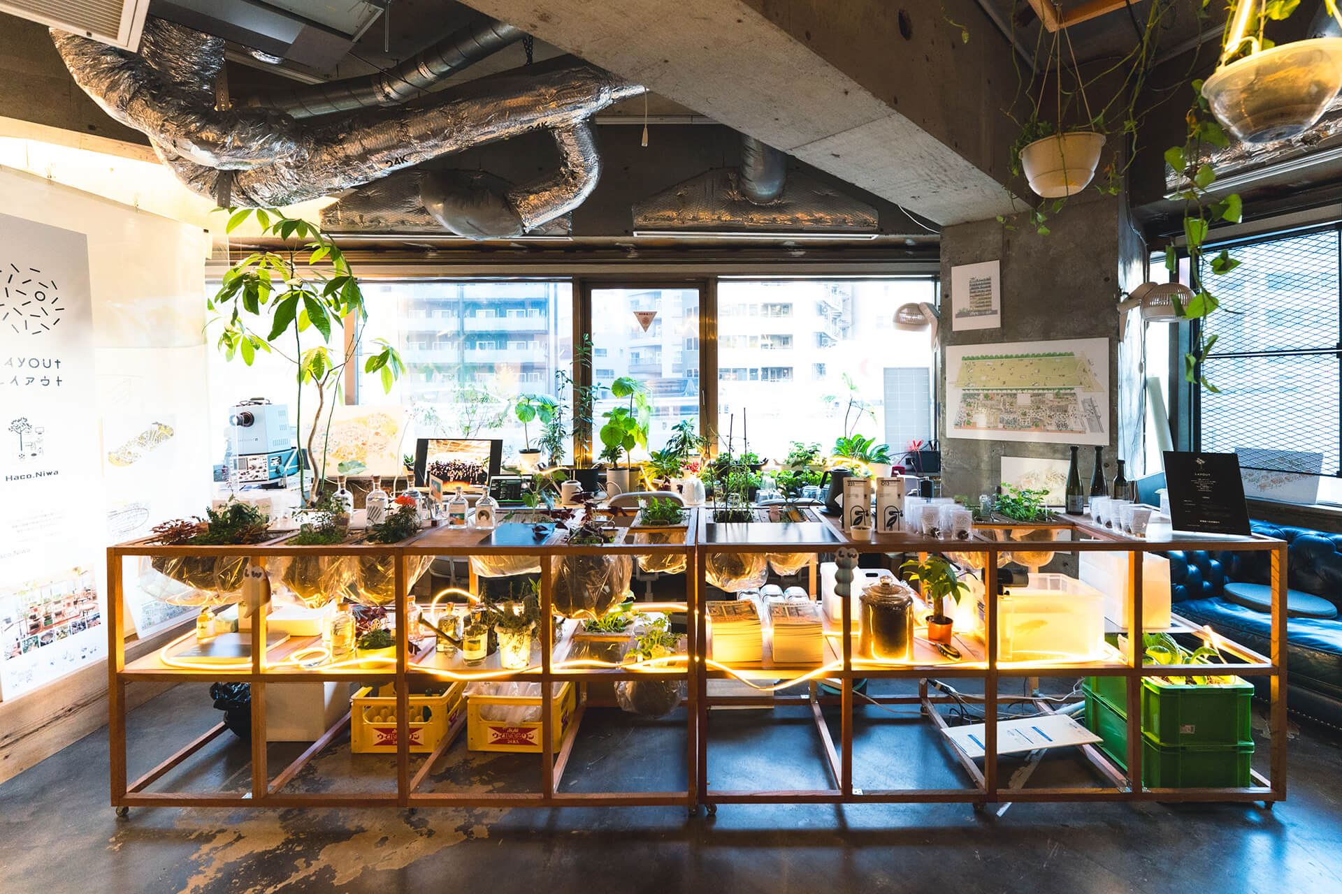 レイアウト展示写真