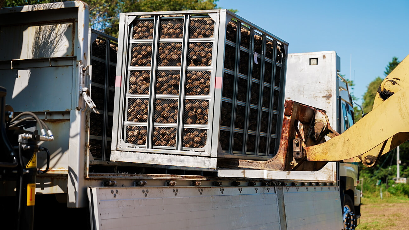 芋がたくさん入ったコンテナを、運搬車から重機で下ろしている様子