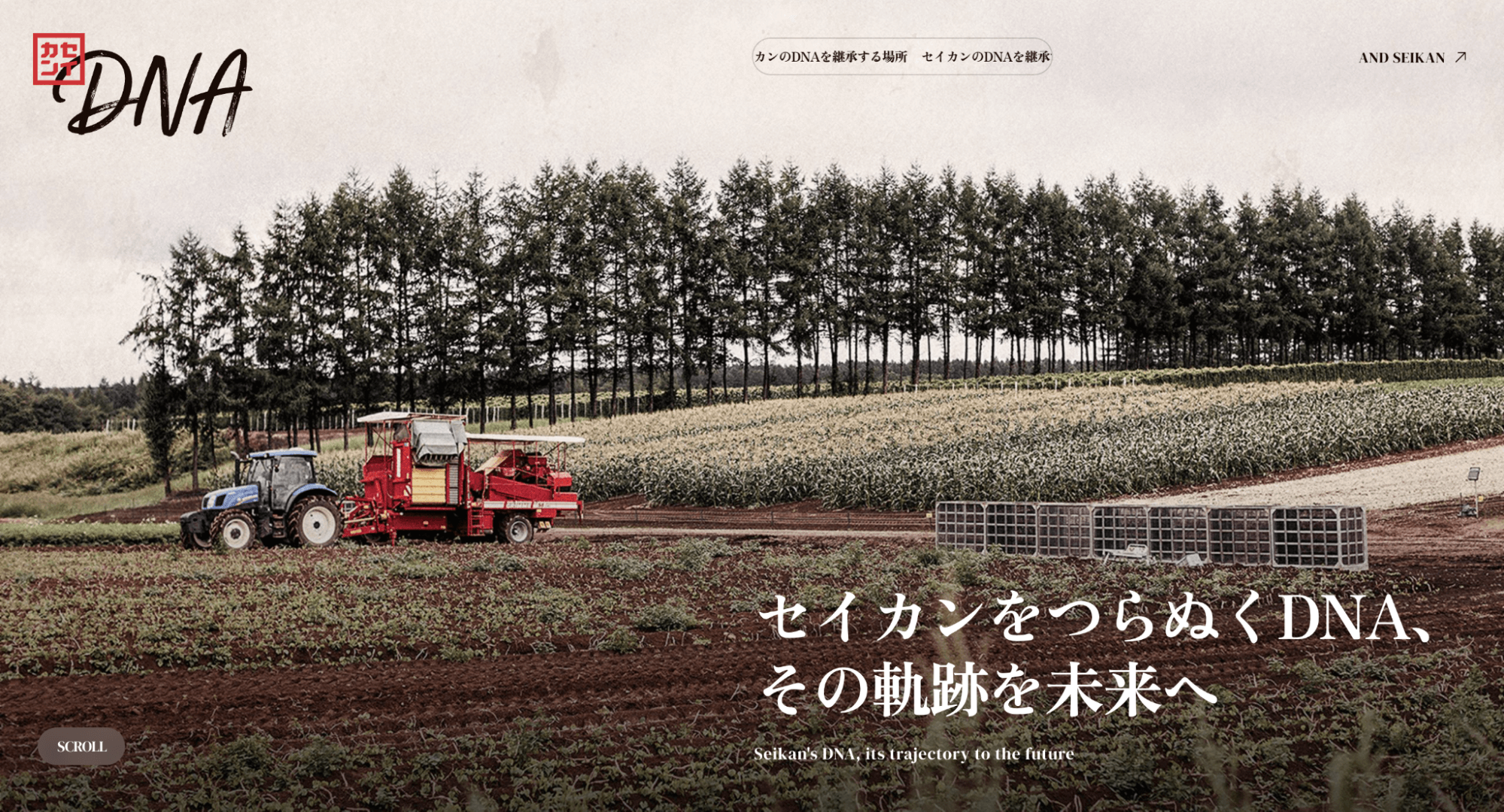 セイカン株式会社 ウェブサイト「セイカンDNA」の画像