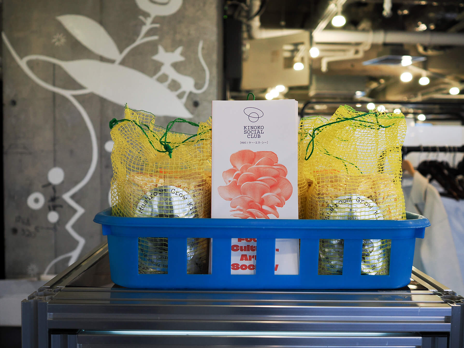 キノコの栽培キット