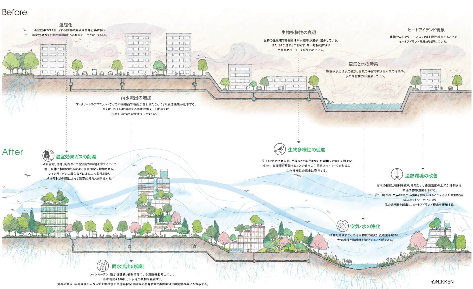 画像：Nikken Green Initiative