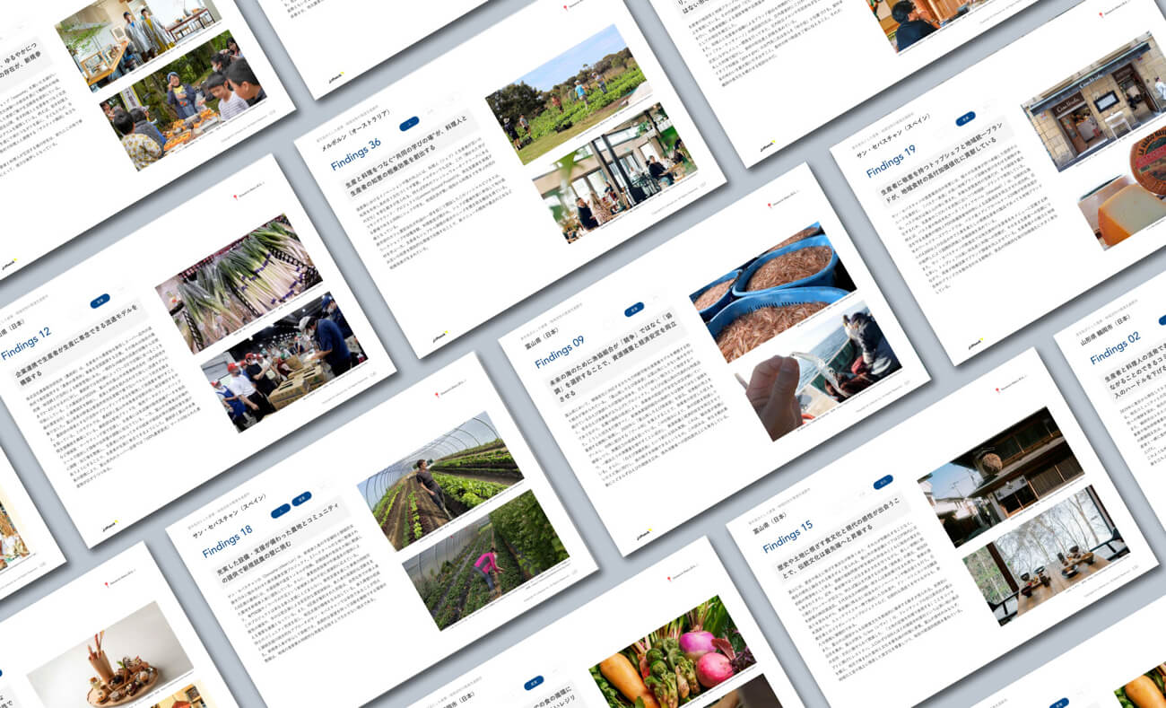 調査報告書のページを並べて見せるイメージ