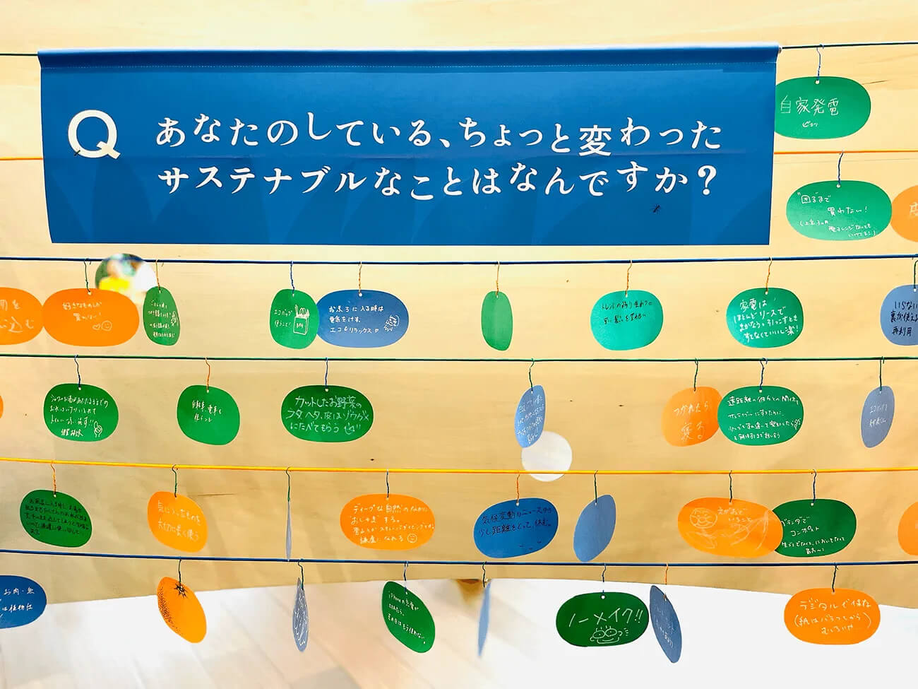 3周年記念展示『ちきゅうのみちくさ展』参加者による「あなたのしている、ちょっとサステナブルなこと」が紙に書いて展示されている