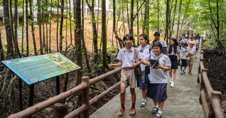 海草藻場をゲームで再生する。 FabCafe Bangkokが手がけたマルチプレイヤー型メタバース「Ocean Meadow」とは？