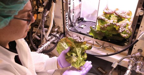 宇宙開発の先に、どんな暮らしをつくるのか？ 2040年の未来をめぐる対話 