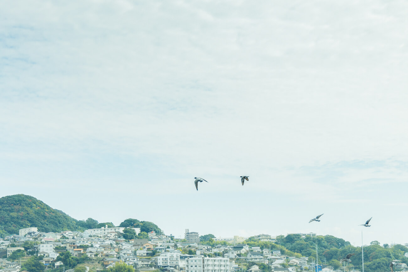 佐世保の空の風景。青い空に何羽かの鳥が飛んでいる