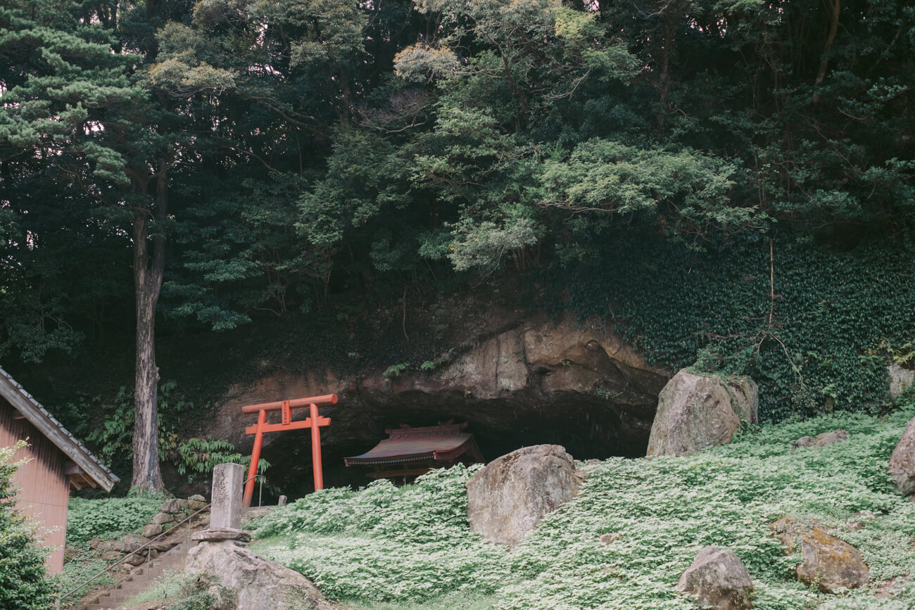 遠くの斜面に、鳥居が見える写真