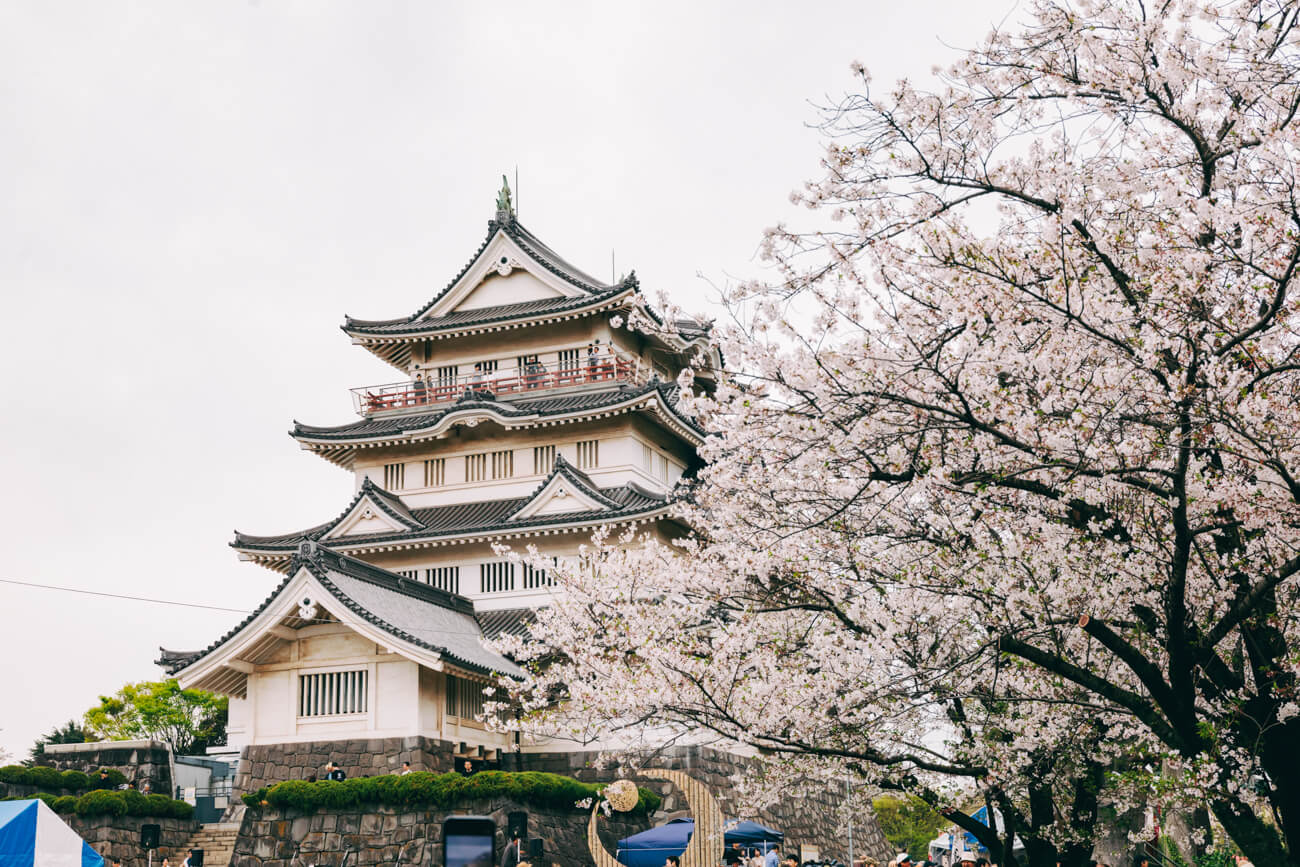 お城の天守閣を模した千葉市郷土博物館の写真。満開の桜の花の向こうに、天守閣のような建物が見える