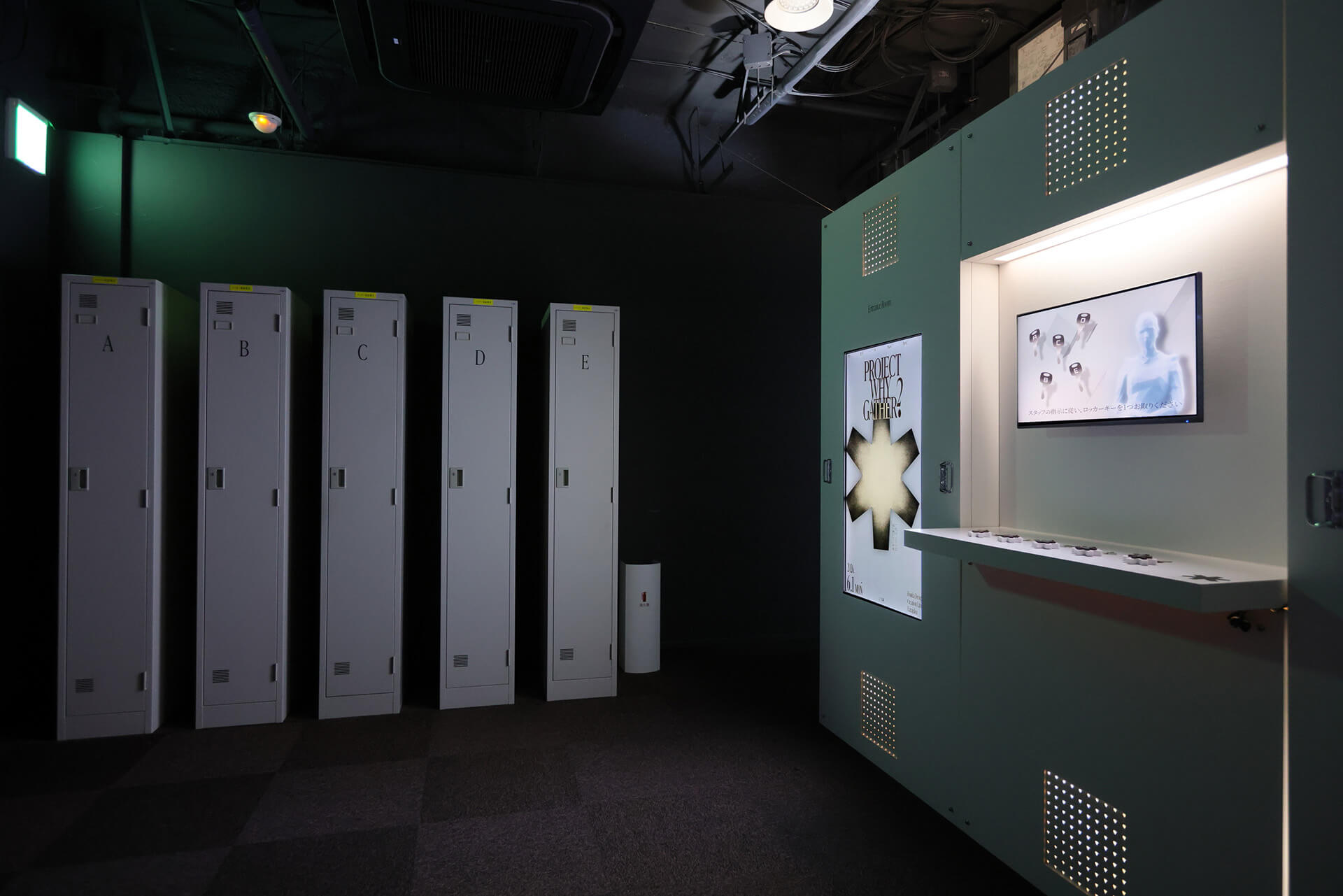 展示写真