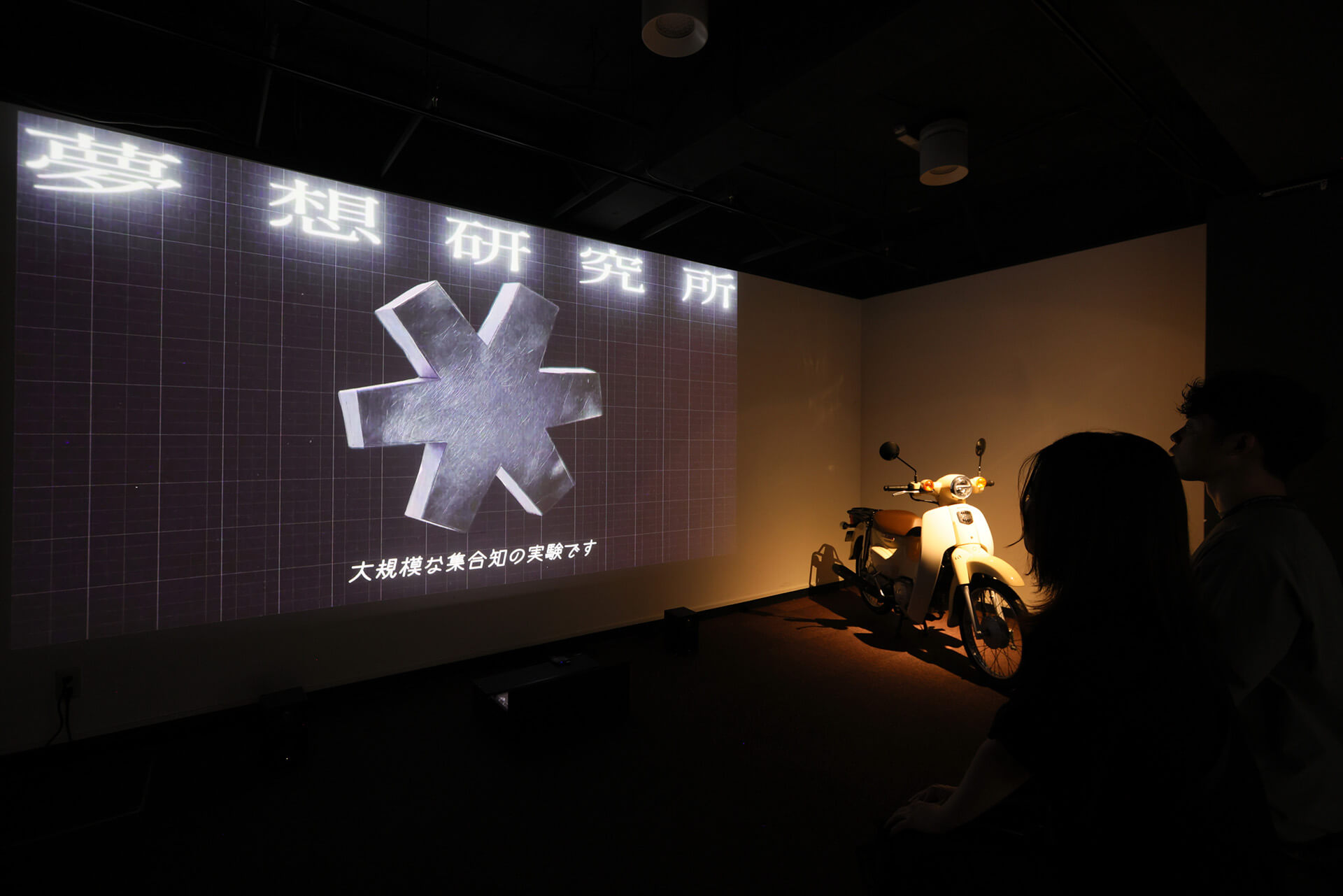 展示写真