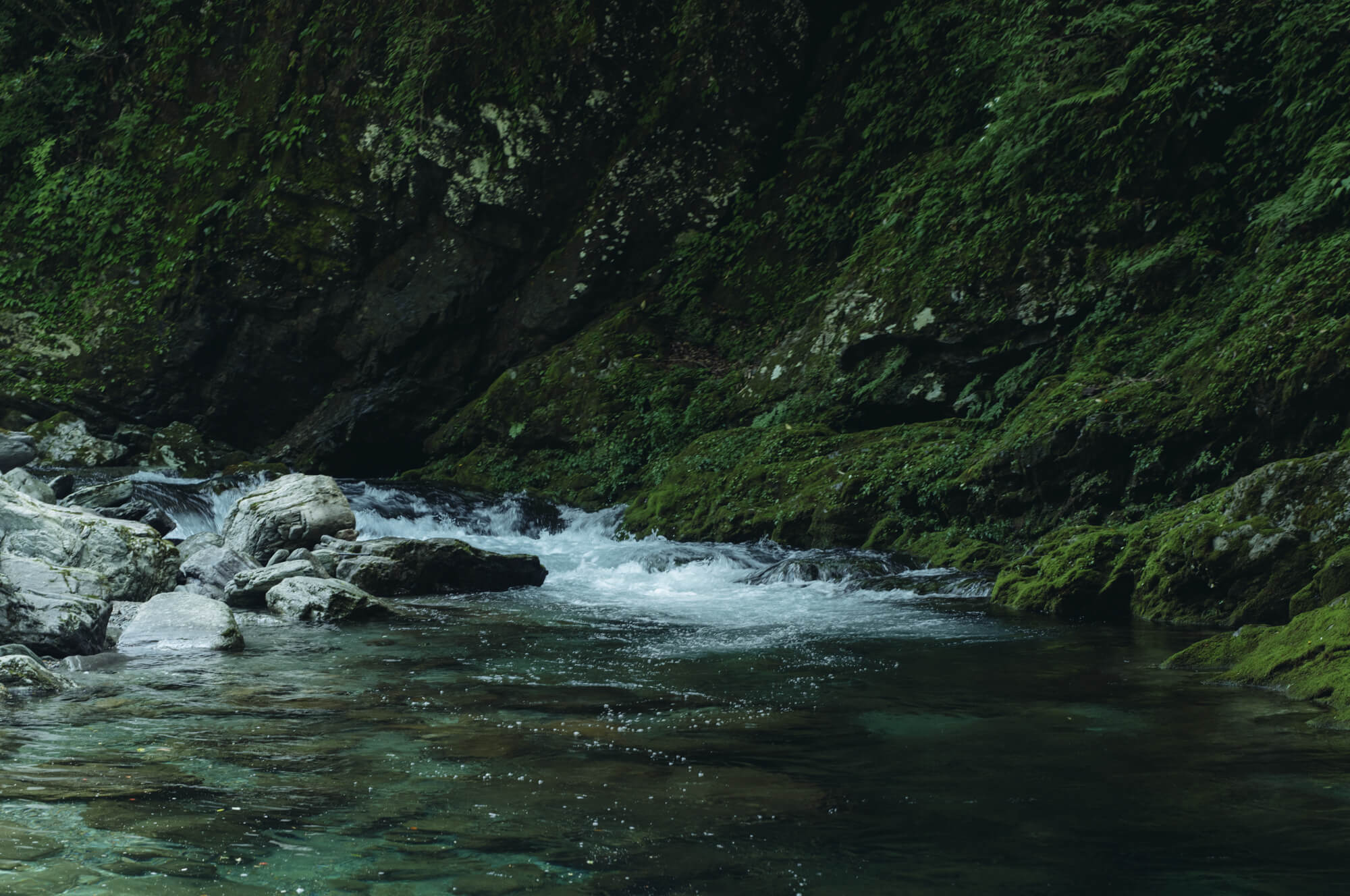 写真:
