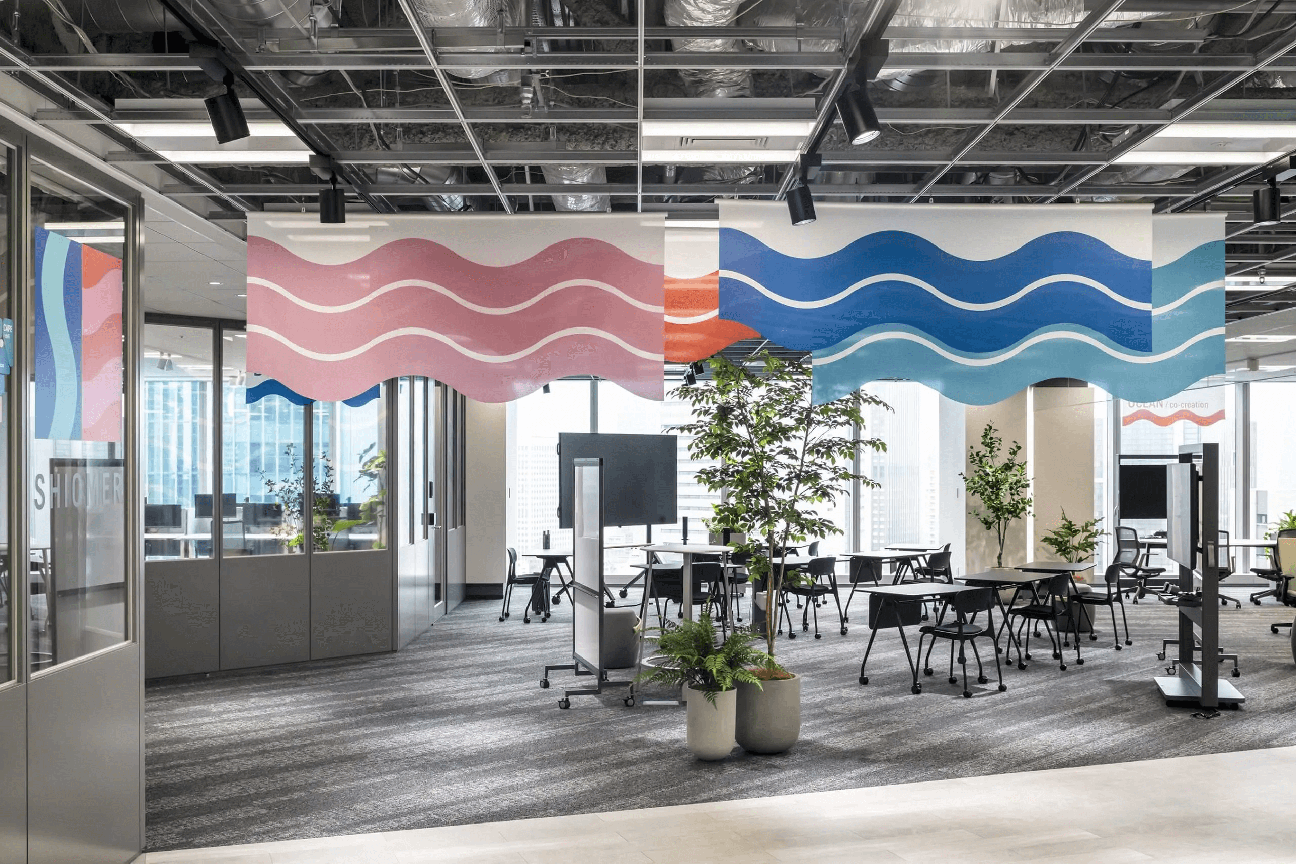 写真：シオメルの様子