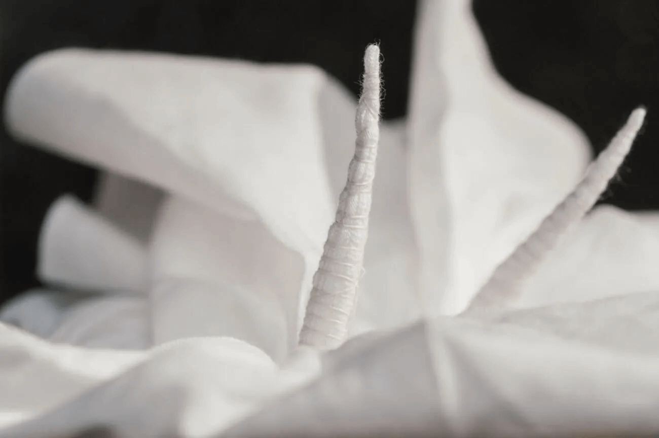 染色前の絞り工程。白い布を尖らせて糸で固く巻き締めた突起が立ち上がり、立体的なシワと陰影が際立っている。