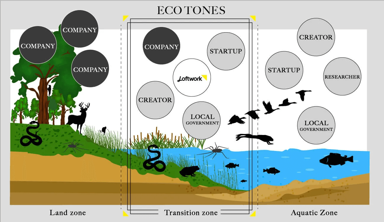 陸と水辺の生態系が交わるエコトーンを示す図。水生・陸生の動物が共存するように、企業・自治体・研究者・クリエイターなど多様な主体が交差する様子を表している